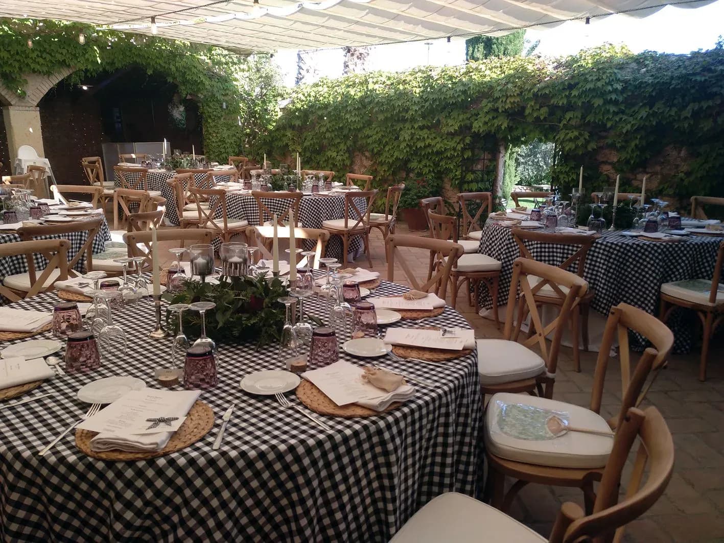 Mesas de banquete de boda con manteles de cuadros vichy, sillas crossback y centros vegetales bajo pérgola de hiedra